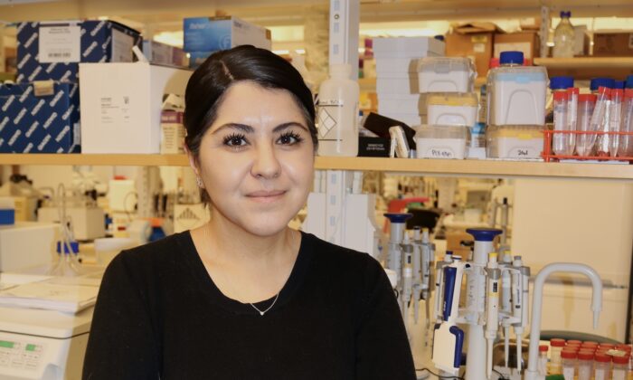 RNA-interferens och obalans i cellen påverkar sjukdom och åldrande